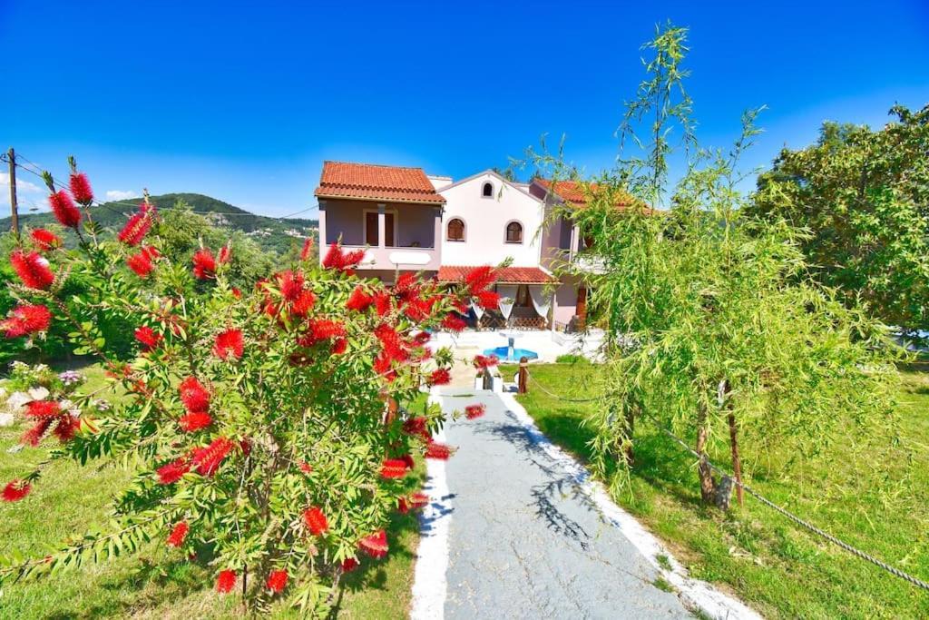 Anastasia's House